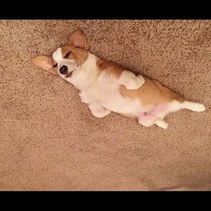 Meet your Posher, Getulio